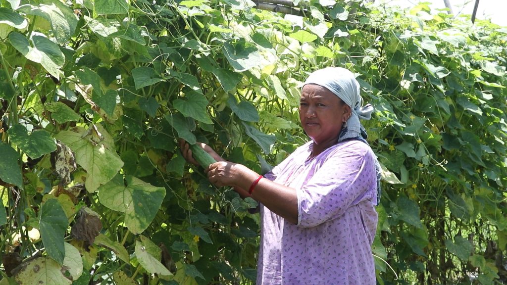 धनमाया तामाङ